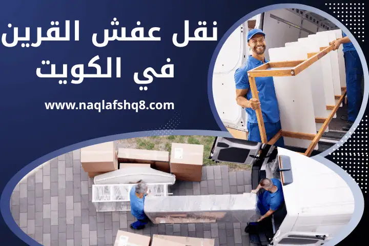 نقل عفش العقيلة 7/24 – خدمة نقل أثاث سريعة واحترافية بالكويت 2 شركة نقل عفش القرين