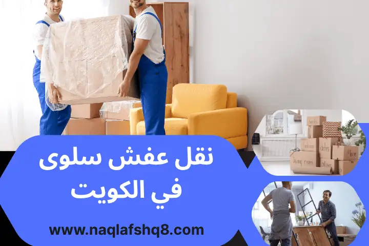 شركة نقل عفش سلوى