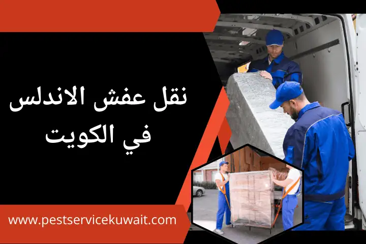 فني نقل عفش الاندلس